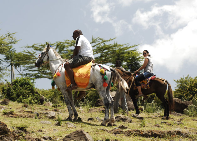 Horse Back Riding